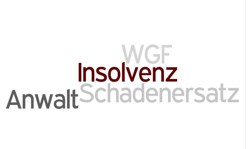 WGF_AG_Insolvenz_Schadenersatz_Anwalt
